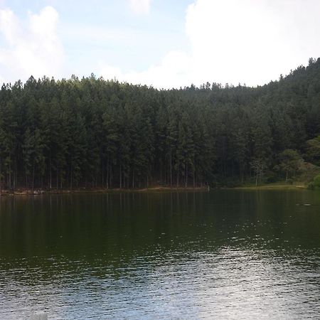 מטאלה Spiritual Nature Farm - Sri Lanka מראה חיצוני תמונה