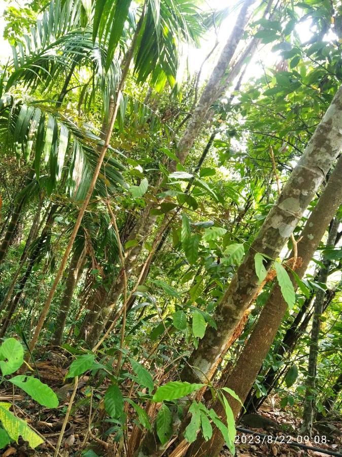 מטאלה Spiritual Nature Farm - Sri Lanka מראה חיצוני תמונה