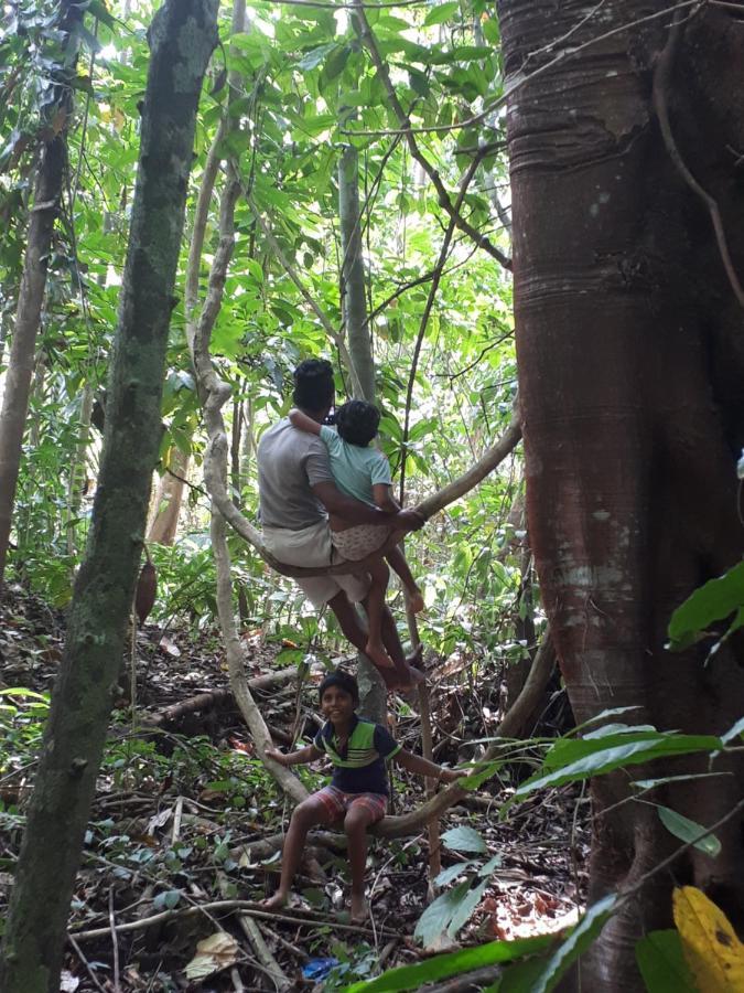 מטאלה Spiritual Nature Farm - Sri Lanka מראה חיצוני תמונה