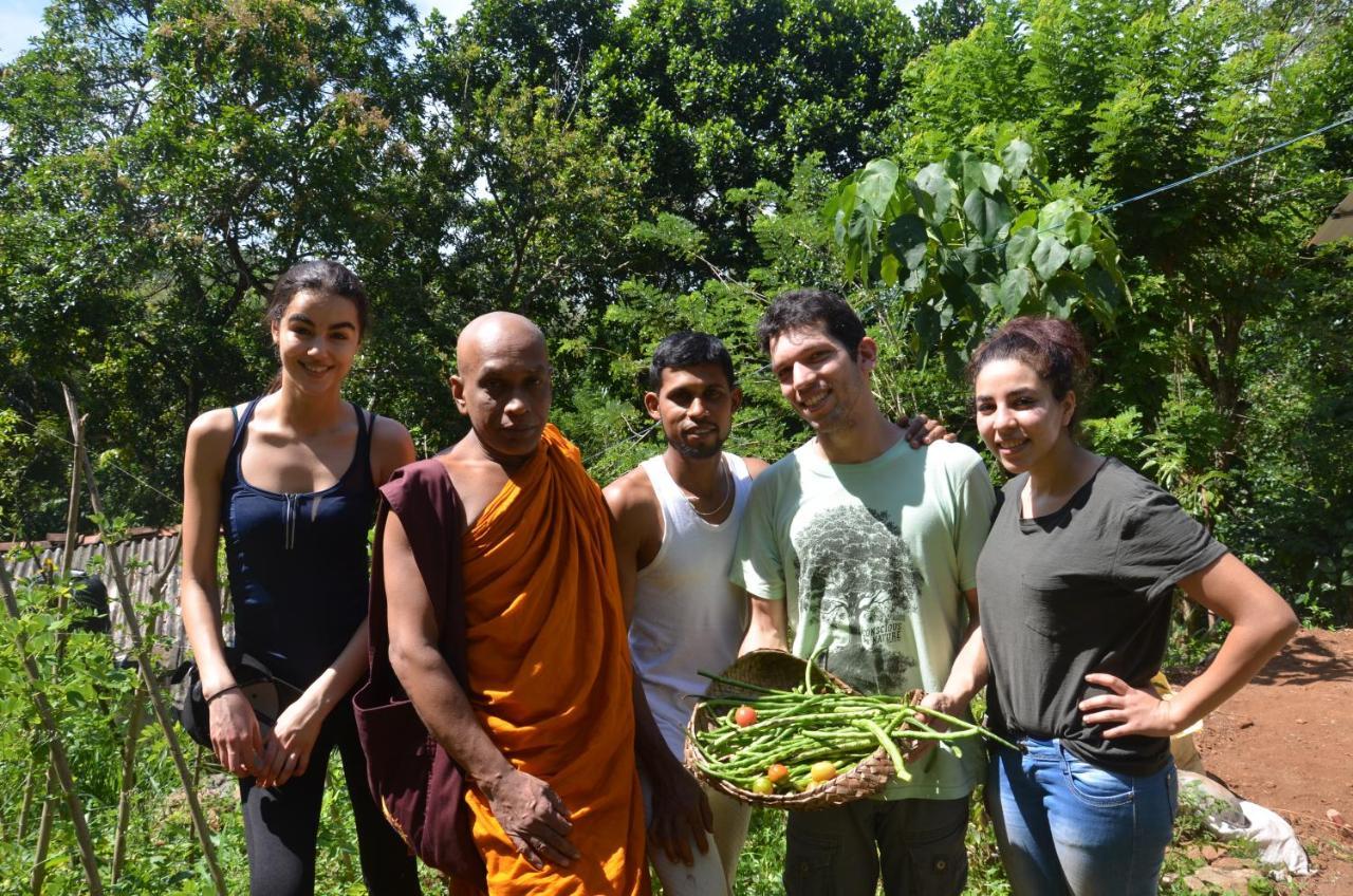 מטאלה Spiritual Nature Farm - Sri Lanka מראה חיצוני תמונה