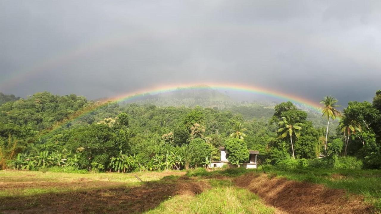 מטאלה Spiritual Nature Farm - Sri Lanka מראה חיצוני תמונה